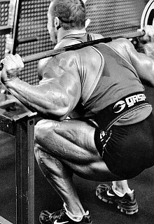 Руководство по правильному приседанию от Лейн Нортона