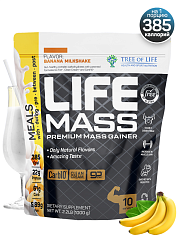 Tree of Life Life Mass Premium Mass Gainer, 1000 гр