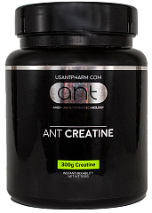 ANT Creatine, 300 гр